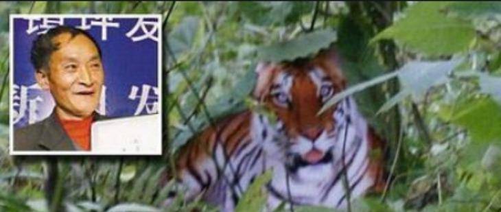 原创时隔13年美国麻省理工表示周正龙华南虎照是真的靠谱吗