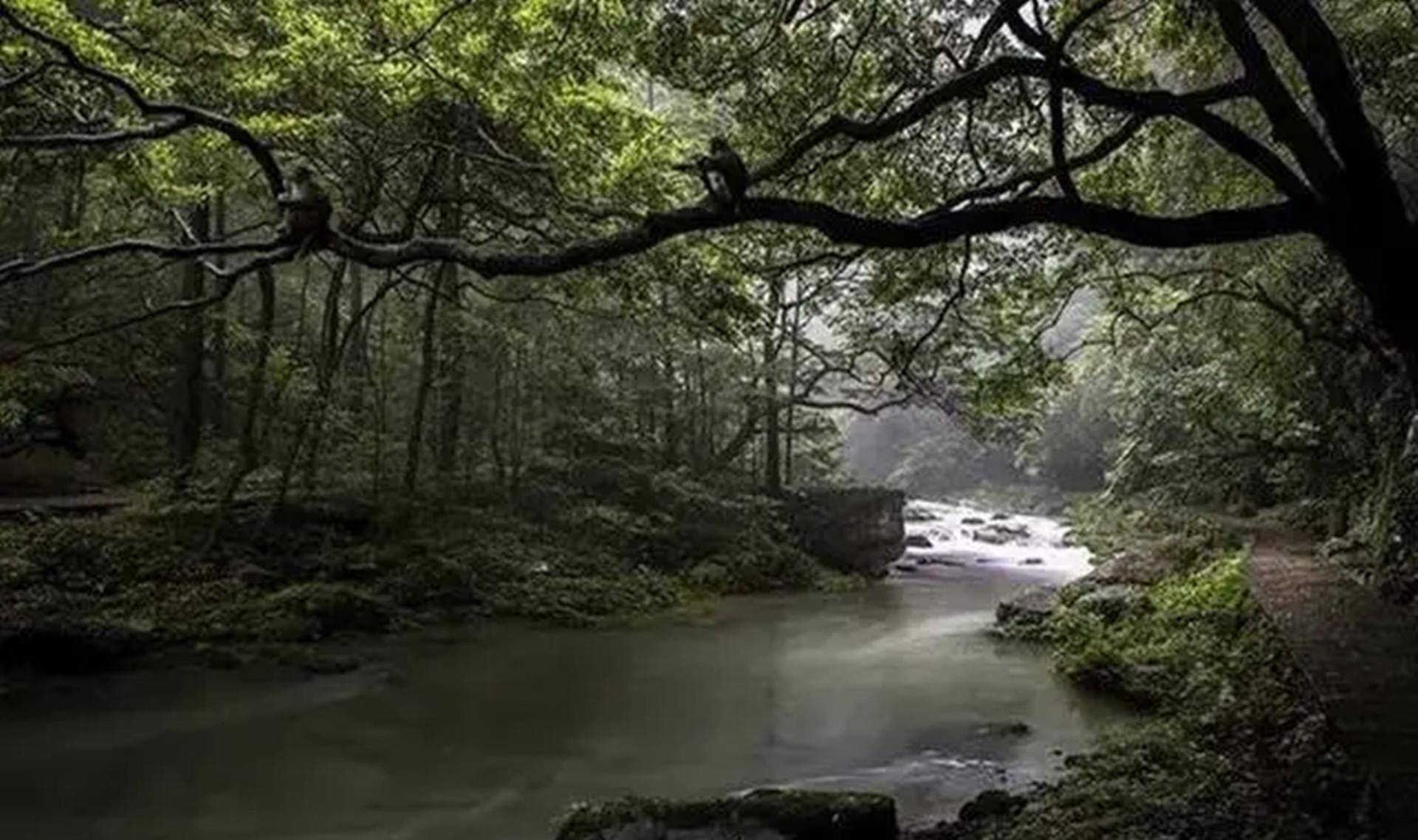 原创湖南神堂湾崖下阴兵操练2012年科考探险队揭开崖下谜底