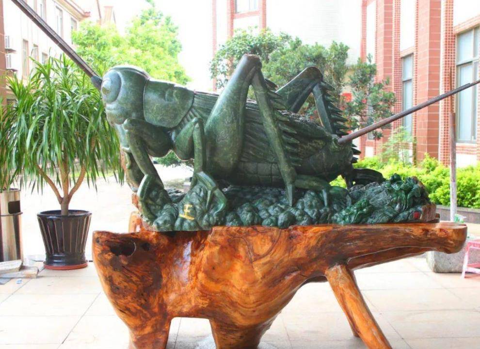 山东蟋蟀经济:一个小镇几十天,有超过6亿资金在当地流动