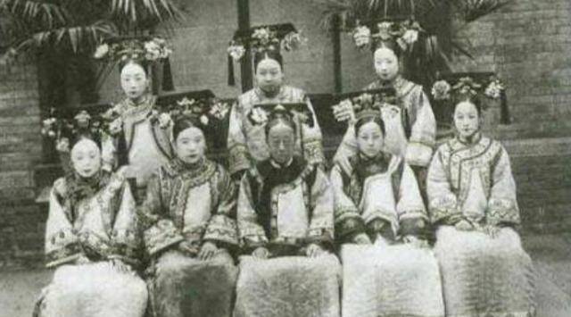 舒婷在《致橡树》中写到"我如果爱你,绝不像攀援的凌霄花,借你的高枝