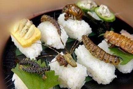 食堂推出特色油炸"青蛙汉堡",外形上看,两条青蛙腿都直接伸出汉堡之外