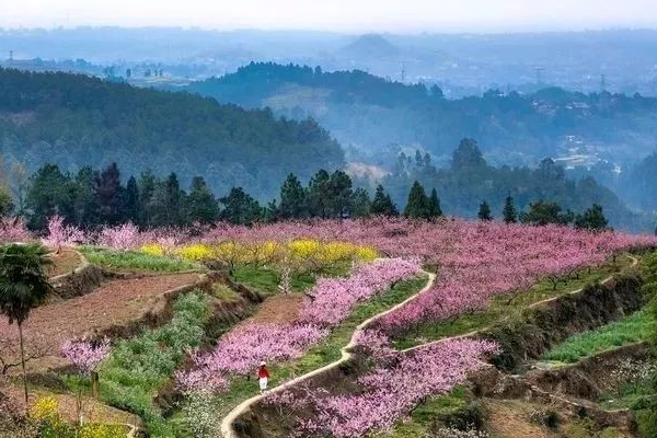 内江大自然景园图片