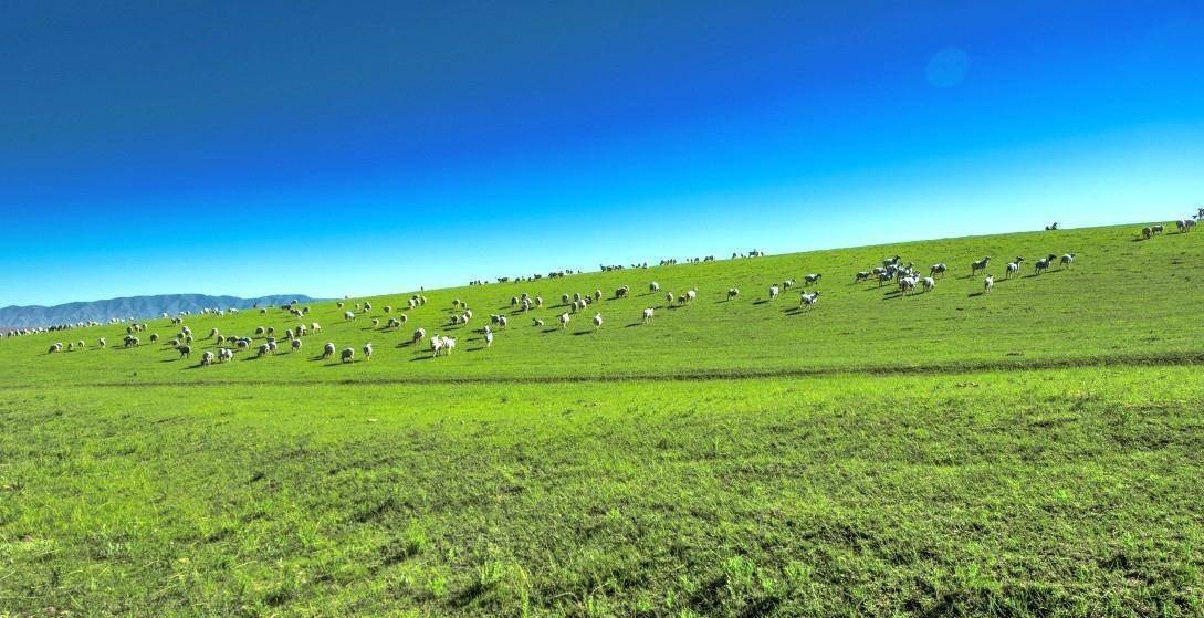 甘肃这片草原,是世界第一大马场,为西汉霍去病所建,却少有人知