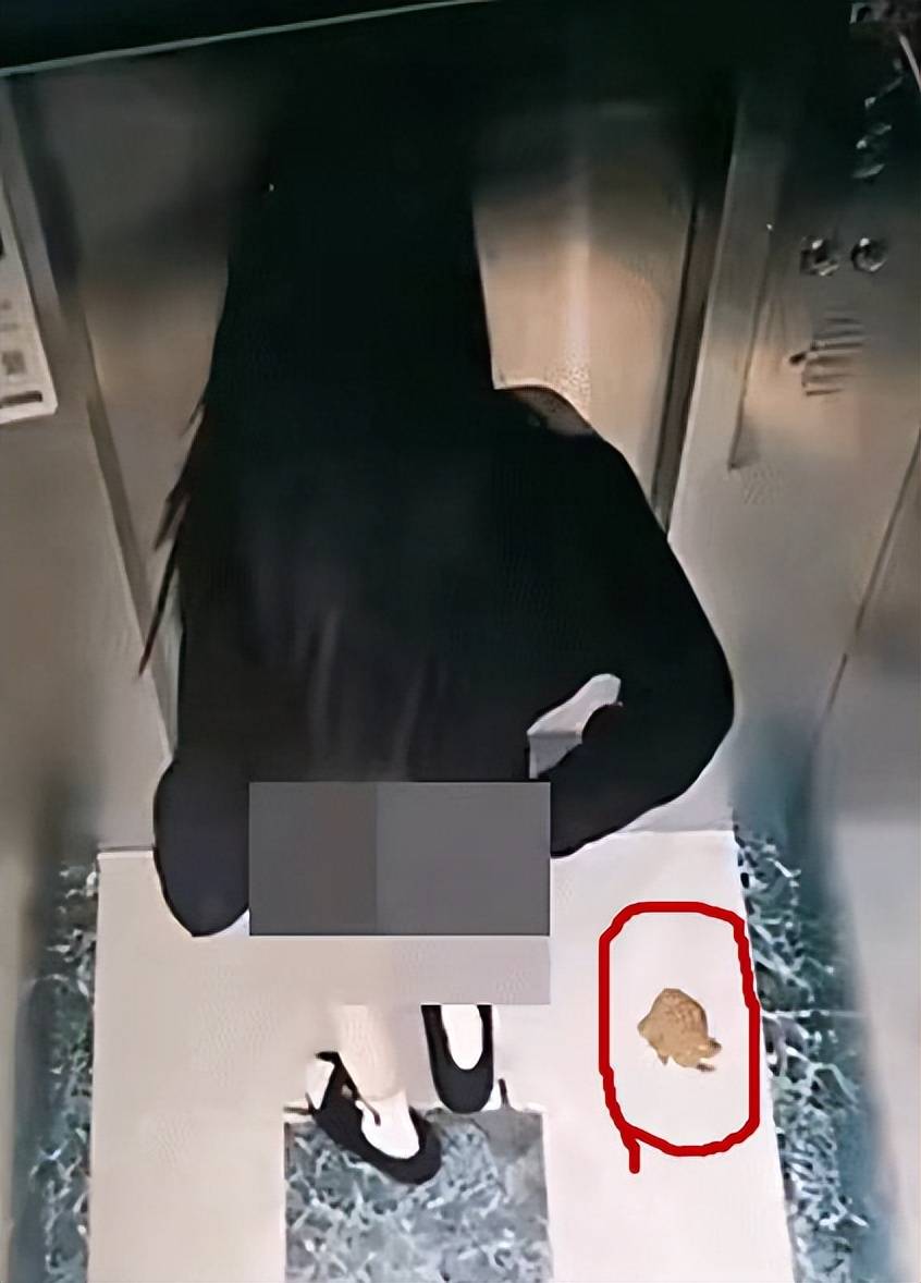 原创女教师急着上厕所竟然进电梯里大便其大便的全程被监控拍下