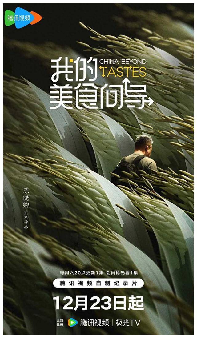 陈晓卿_纪录片_观众