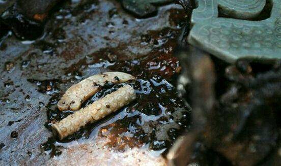 原创古墓中的尸毒真的存在吗确有其事盗墓贼碰到想洗都洗不掉