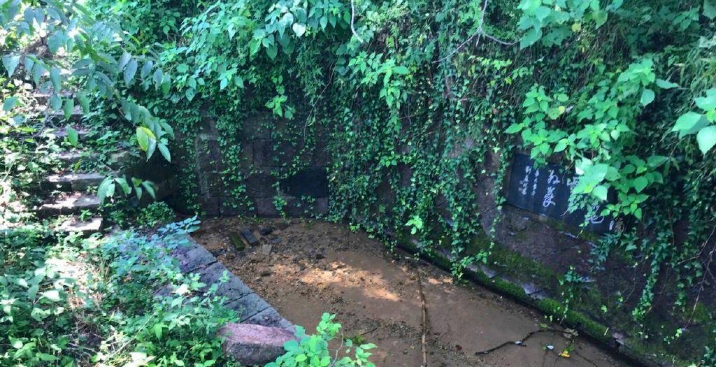 洞霄宫旁边草丛之中便是大涤洞,上窄下宽,上嵌一块石碑"石磴风烟幻,松