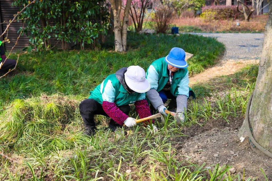 思鲈园内