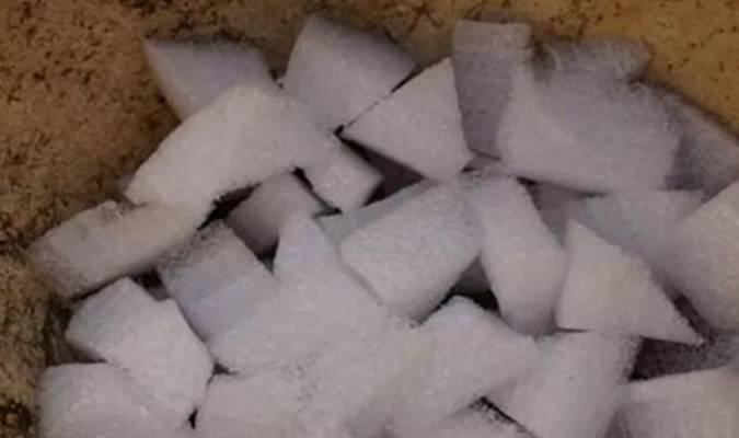 路边也有好植料捡点回来养兰花根旺芽多2年不用换盆