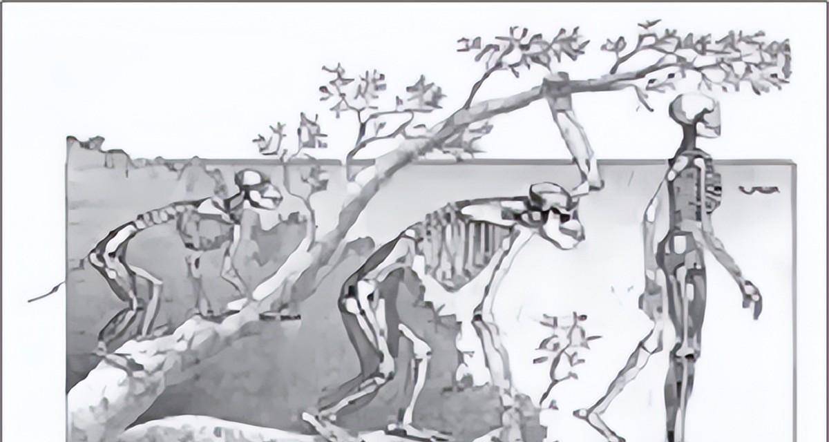 原创土耳其有一奇怪的村子人类直立行走370万年至今仍在趴着走路