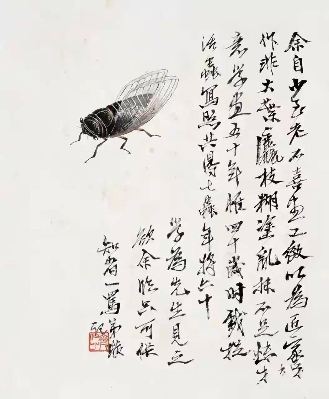 原创齐白石画了一只蝉为何这只蝉值8亿专家看不懂拿放大镜试试