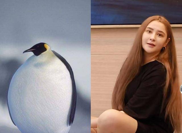 曾是周杰伦电影女主,饰演"长乐公主"受关注,如今胖出一点五倍_李心艾