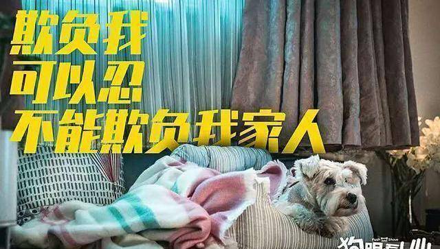 原创《狗眼看人心》将上映,沙溢安吉父子合作,狗狗是永远的家人