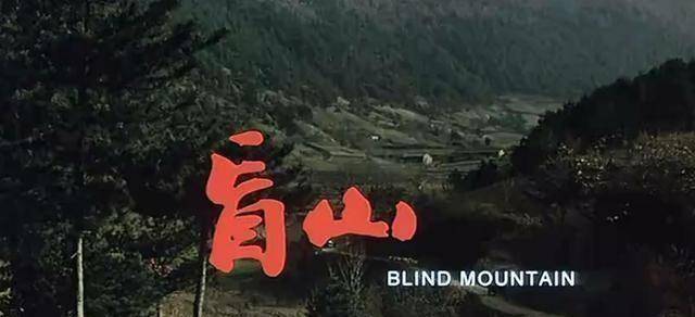 大家熟知的就是2003他个人执导的《盲井》,这也是王宝强首次以主角