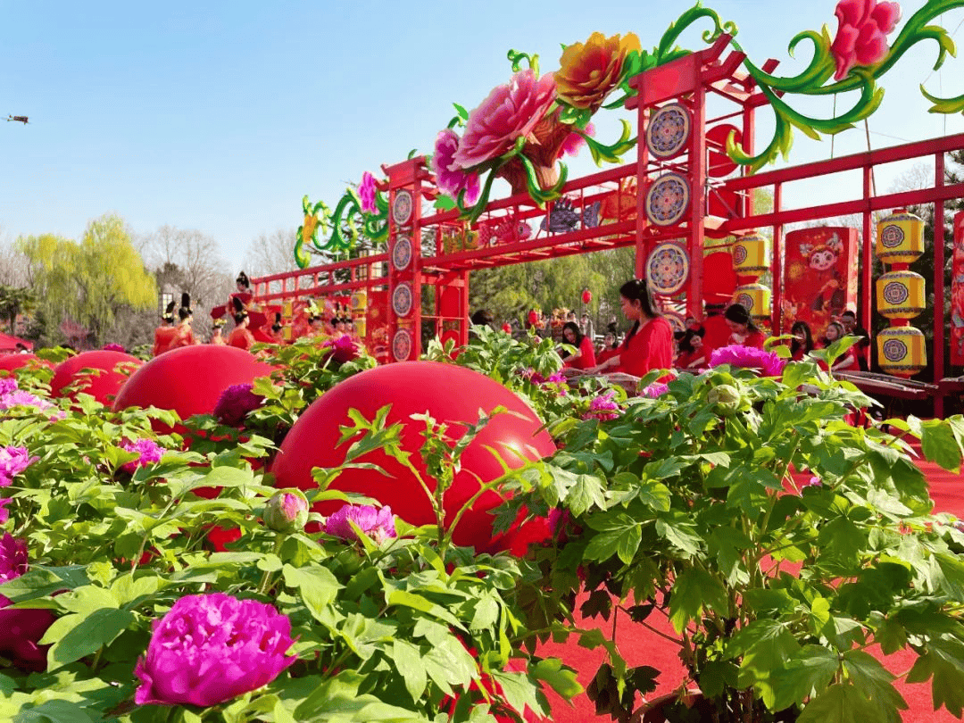 2024洛阳牡丹节在哪地址开放时间游玩攻略