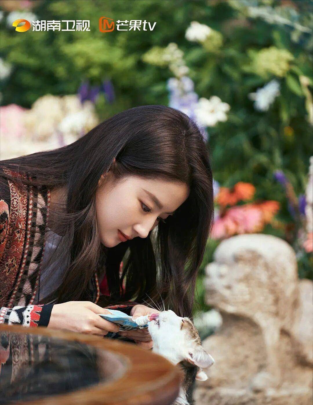 原创去有风的地方刘亦菲李现主演定档能否再造一万梦华录人气