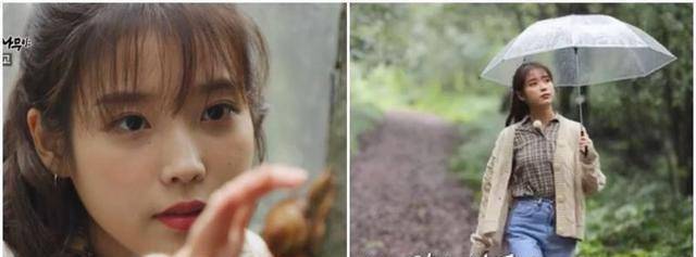 原创树木啊树木iu对我来说疗愈就是必须停下脚步