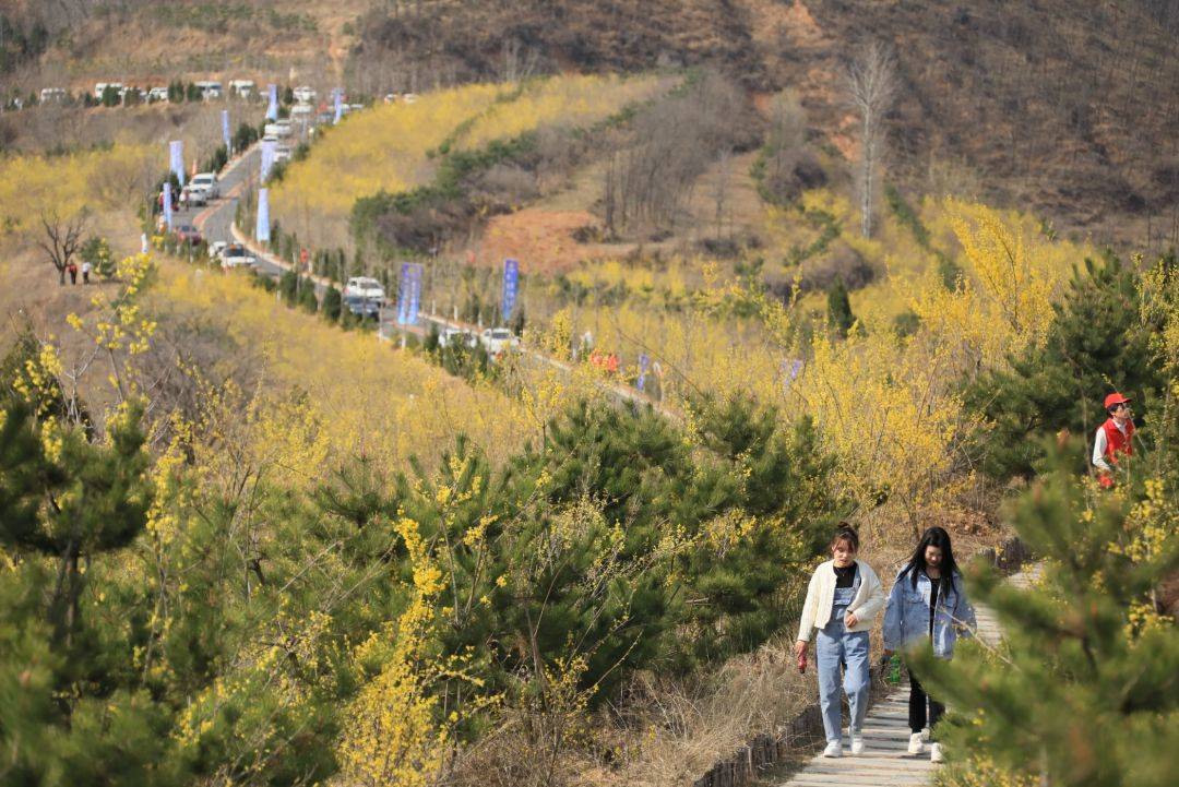 花海相约翘首以待迎客来