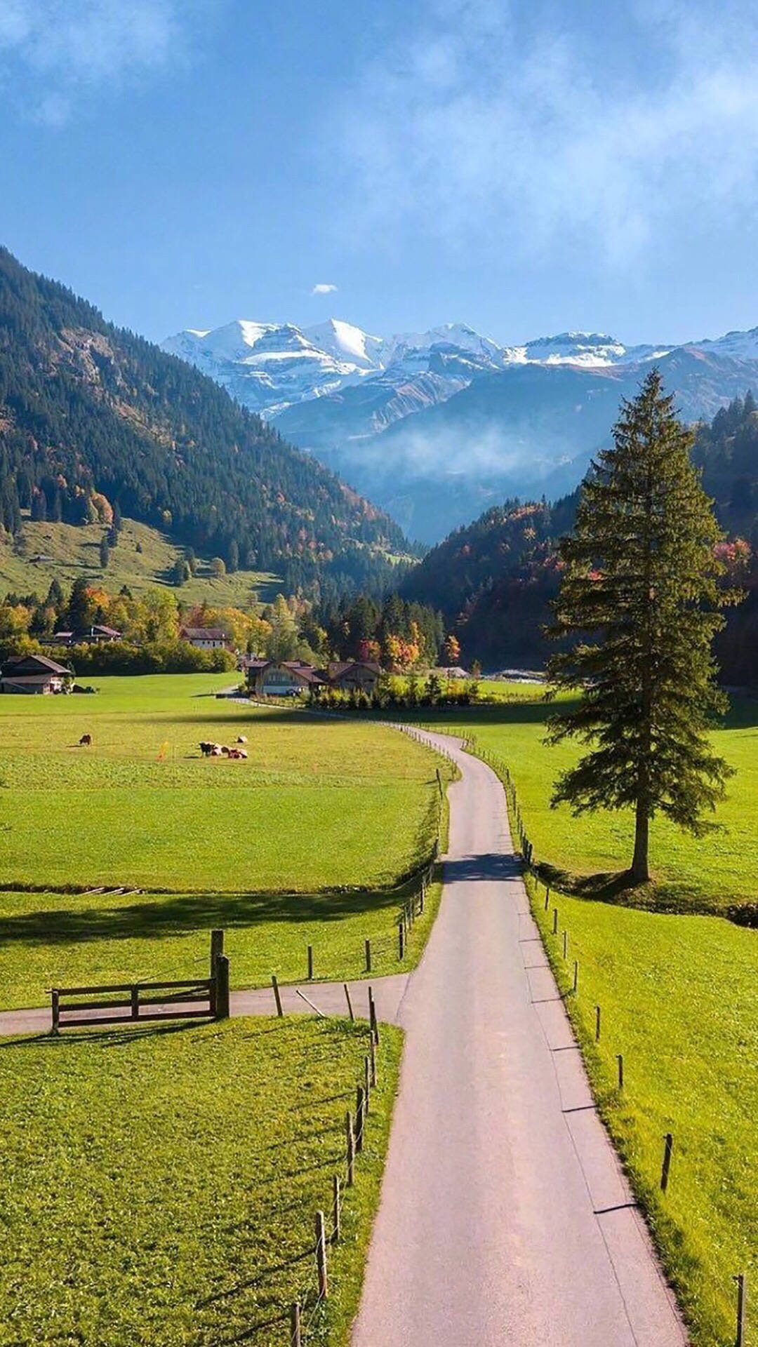 1080_1920竖版 竖屏