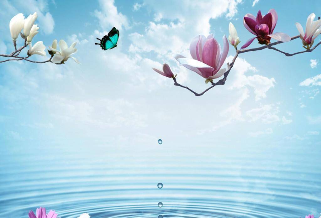 原创爱能成就一段传奇也能沦为笑柄元杂剧鸳鸯被的艺术之美