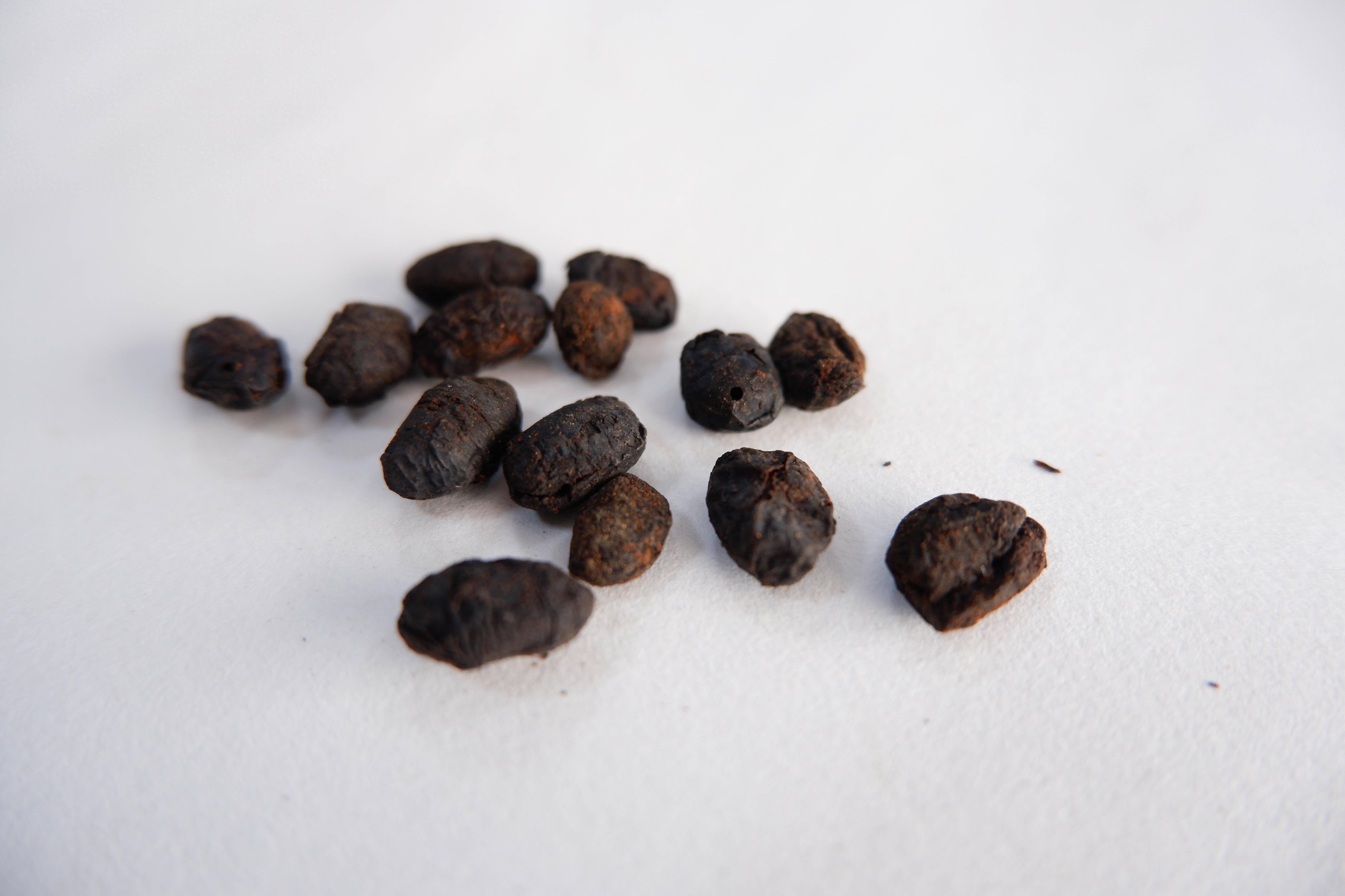 淡豆豉是豆豉的一种,不过不同于辣椒里的豆豉,淡豆豉是黑豆由青蒿