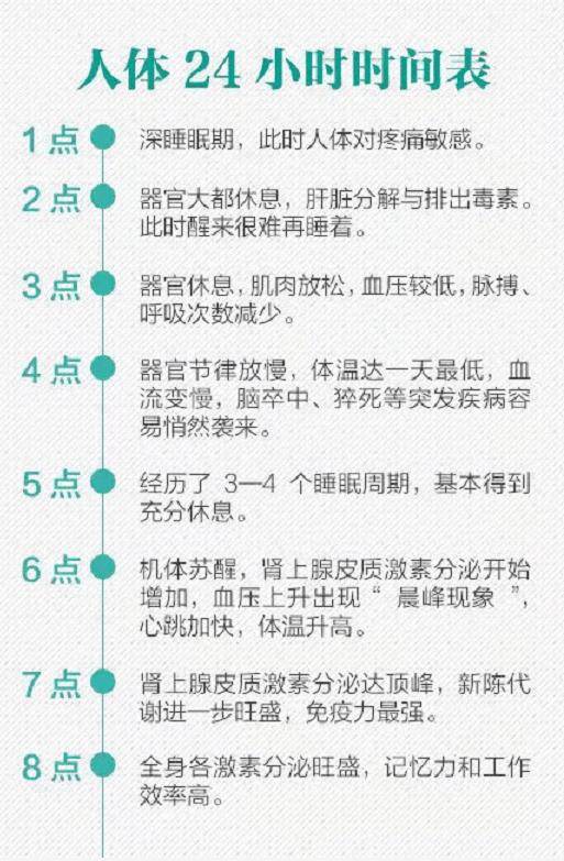 24小时安排表图片