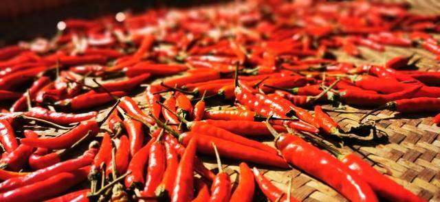 辣椒爱好者有福了!爱吃辣的人糖尿病风险更低!要不要?