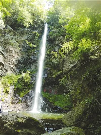 归去凤池夸_竹溪_袜底_海棠花