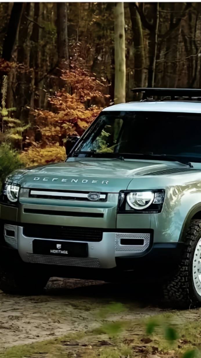 暴雨中的优雅舞者,卫士110演绎英伦传奇_搜狐汽车_搜狐网