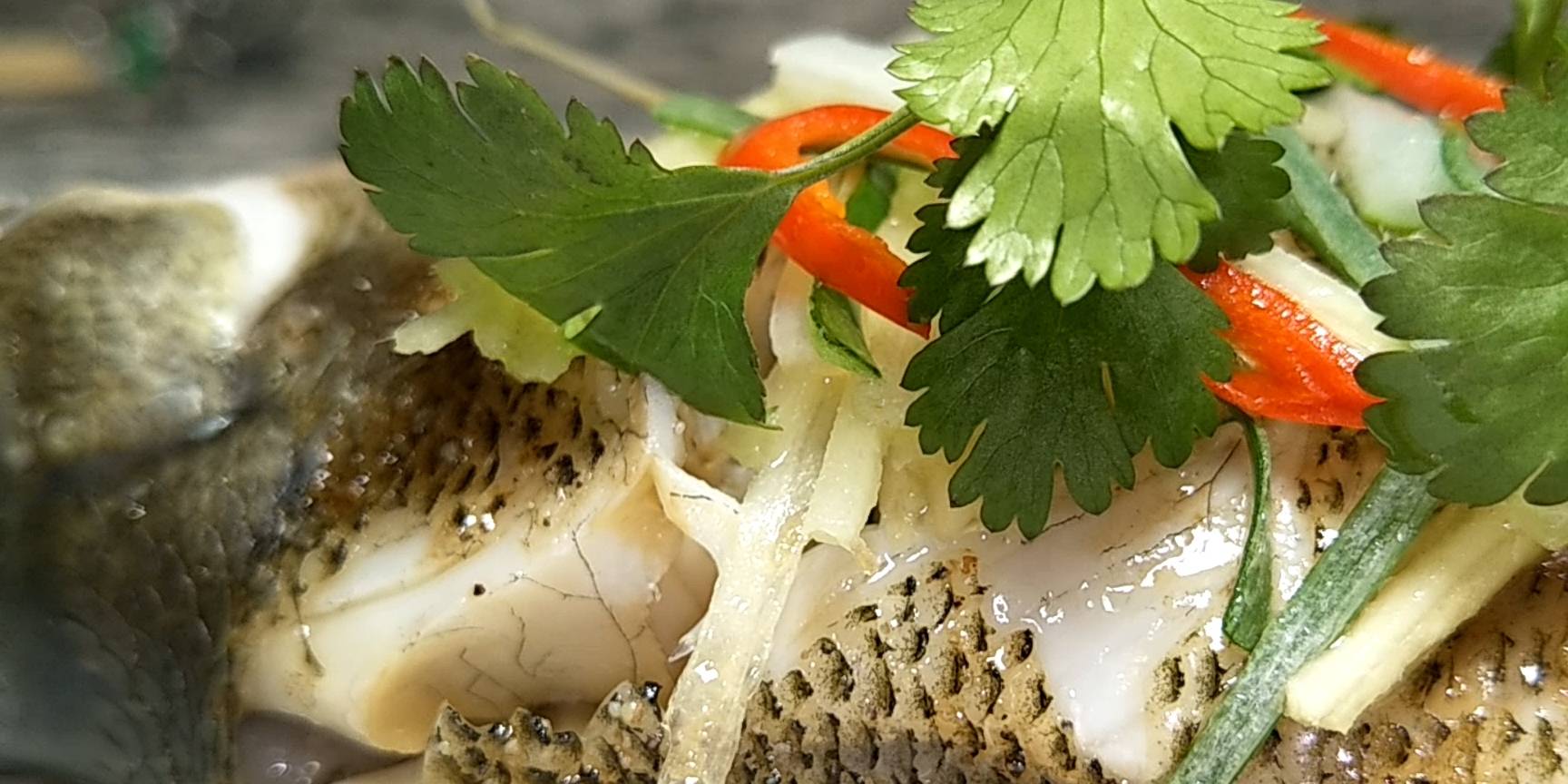 鲈鱼_汤汁_淡水鱼