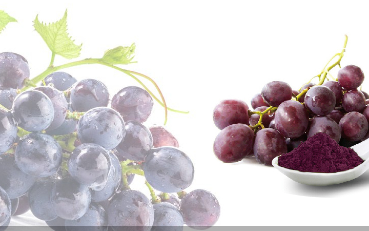 原创葡萄酒带我们认识白藜芦醇的独特作用