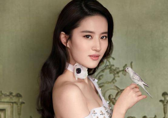 原创神仙姐姐刘亦菲明明能靠脸却偏要靠实力你凭什么不努力