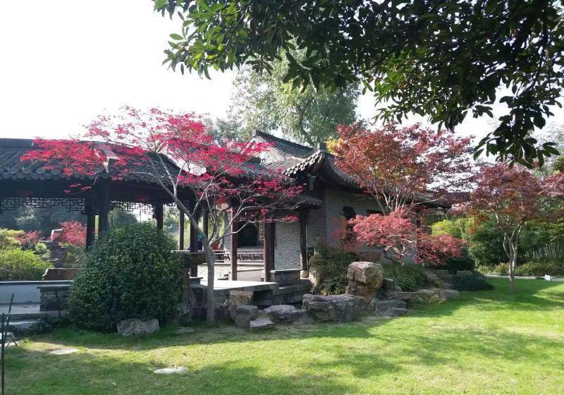 个园原本就是公认的四大古典园林之一,也是扬州的珍宝.