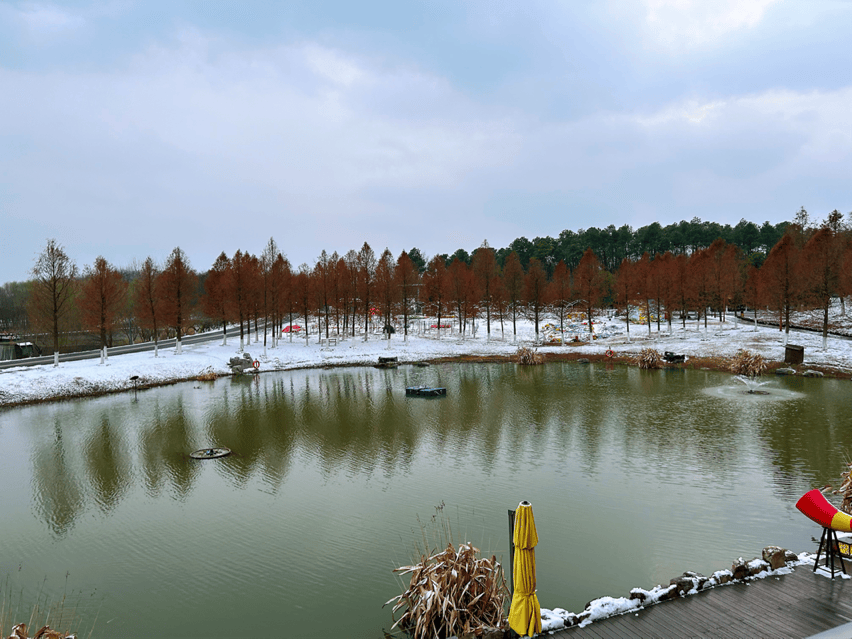 重大电影《活在当下》总制片人杨光考察南京江宁旅康集团,云水涧环境