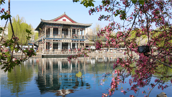 海棠樱花同绽放五龙潭迎来最美春日赏花季