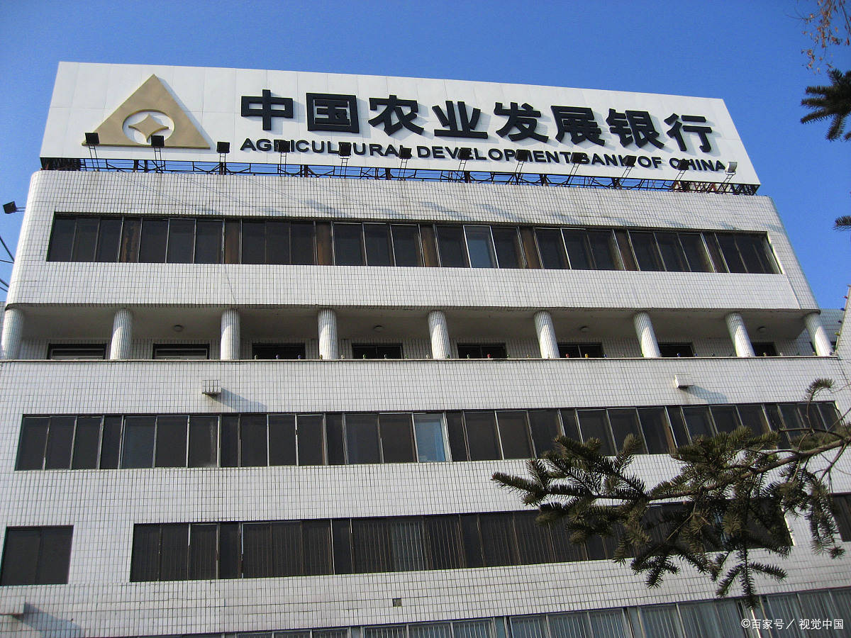 农发行宁阳县支行开展三八妇女节系列活动