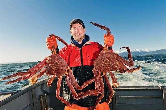 帝王蟹是智商税吗多地帝王蟹泛滥成灾为何价格还这么贵