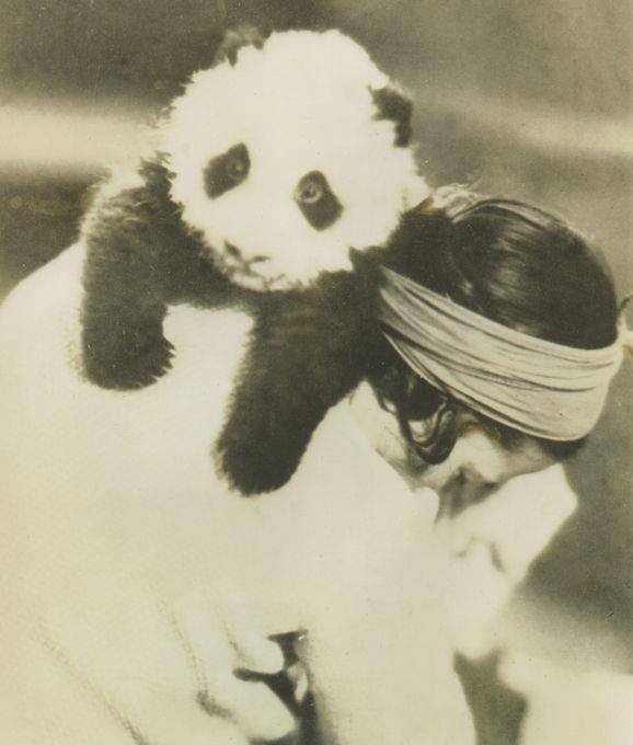 原创1936年她将活体大熊猫偷到美国罗斯福儿子我愿拿我儿子交换