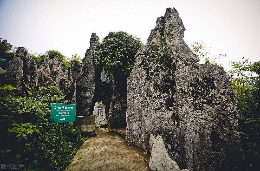 渝北区茨竹镇华蓥山图片