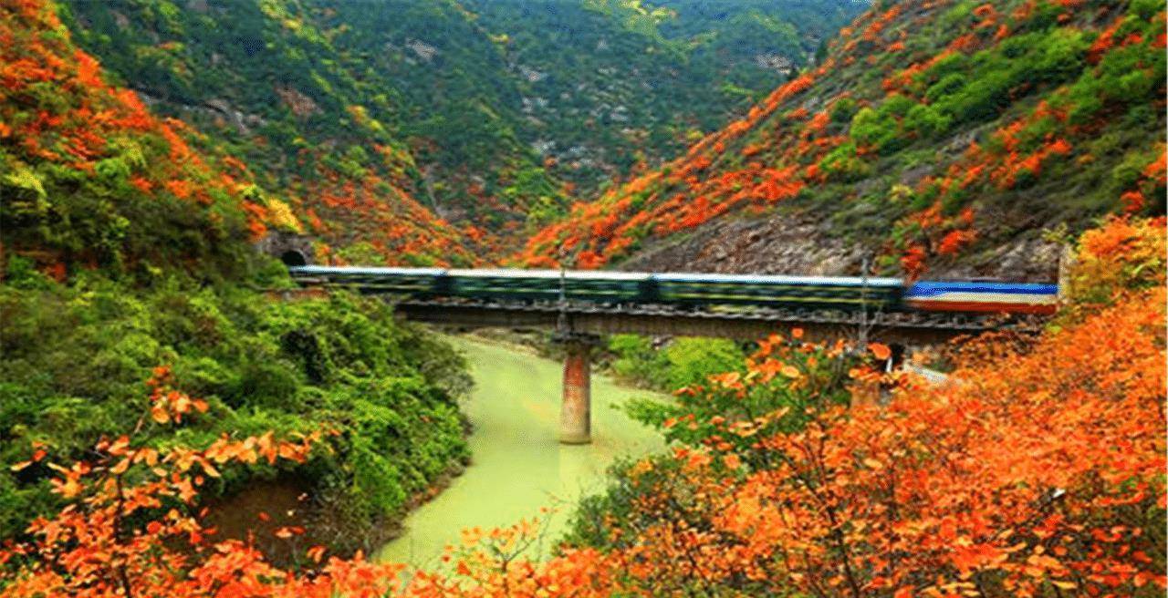 秦岭唯一盘山铁路无与伦比的风景线从陕西直达四川
