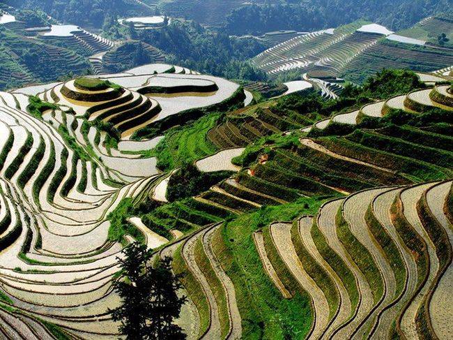 day3:古东瀑布-兴坪漓江乘船(20元人民币背景 漓江最精华路段)-兴坪