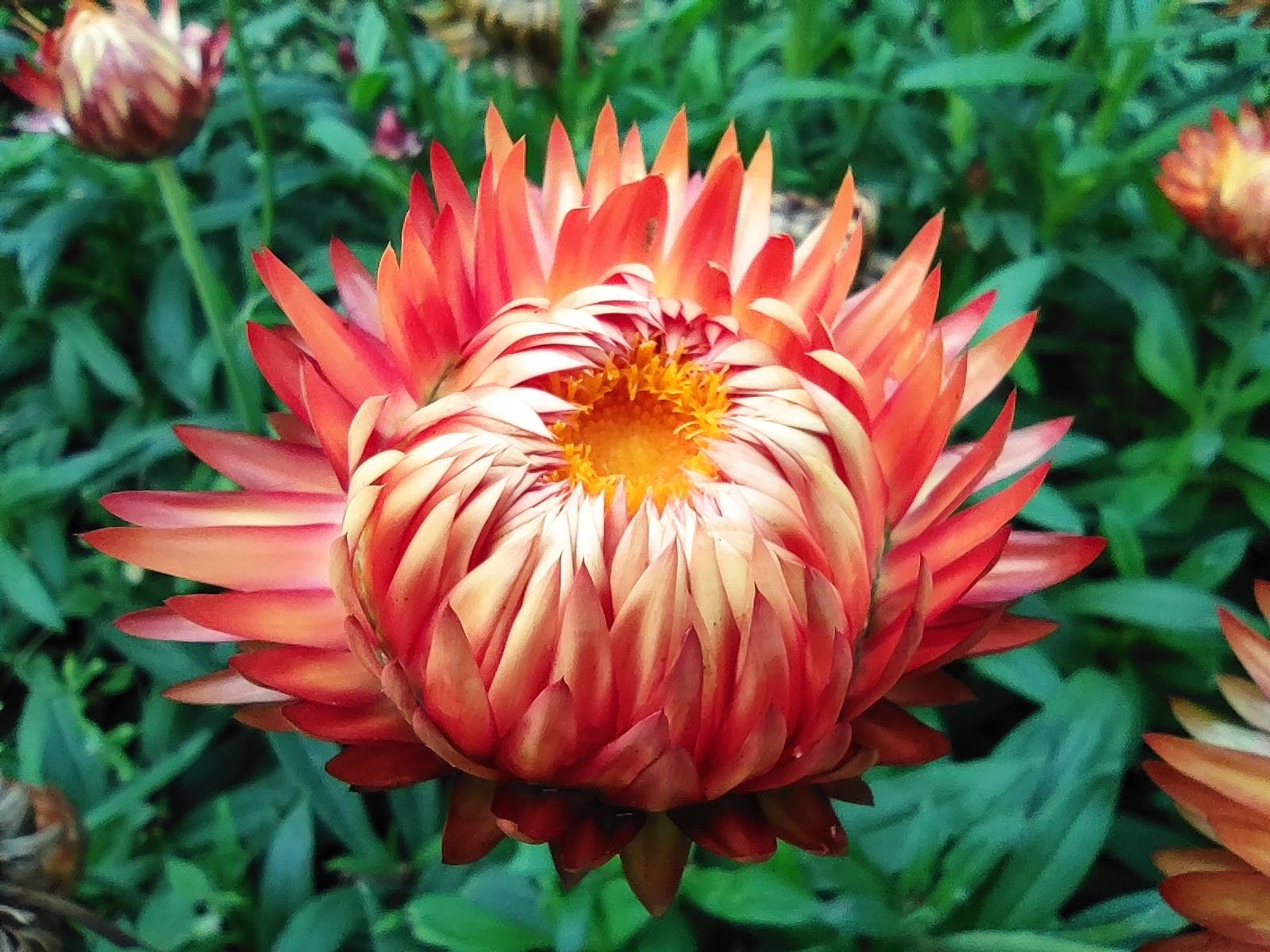 普通人辟谷故事261我是风儿你是沙缠缠绵绵到永远