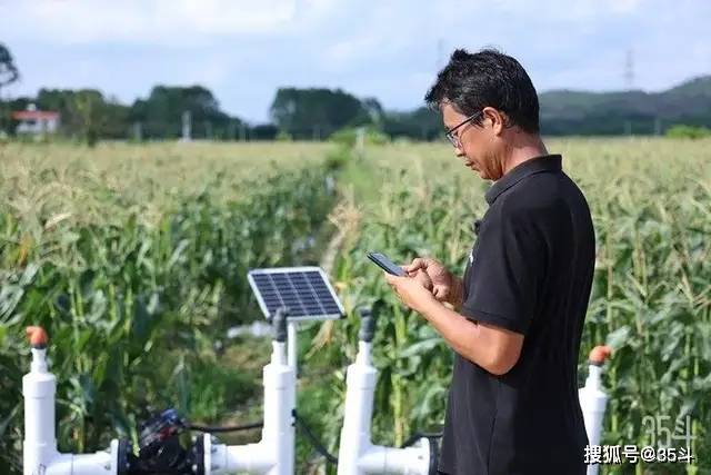 千亩农田1人运营亩均产值超万元东江牧歌把数字化变成生产力