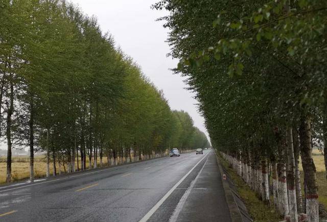 原创河西走廊有个地方叫炒面庄不是饭馆采访过后我们的心里酸酸的