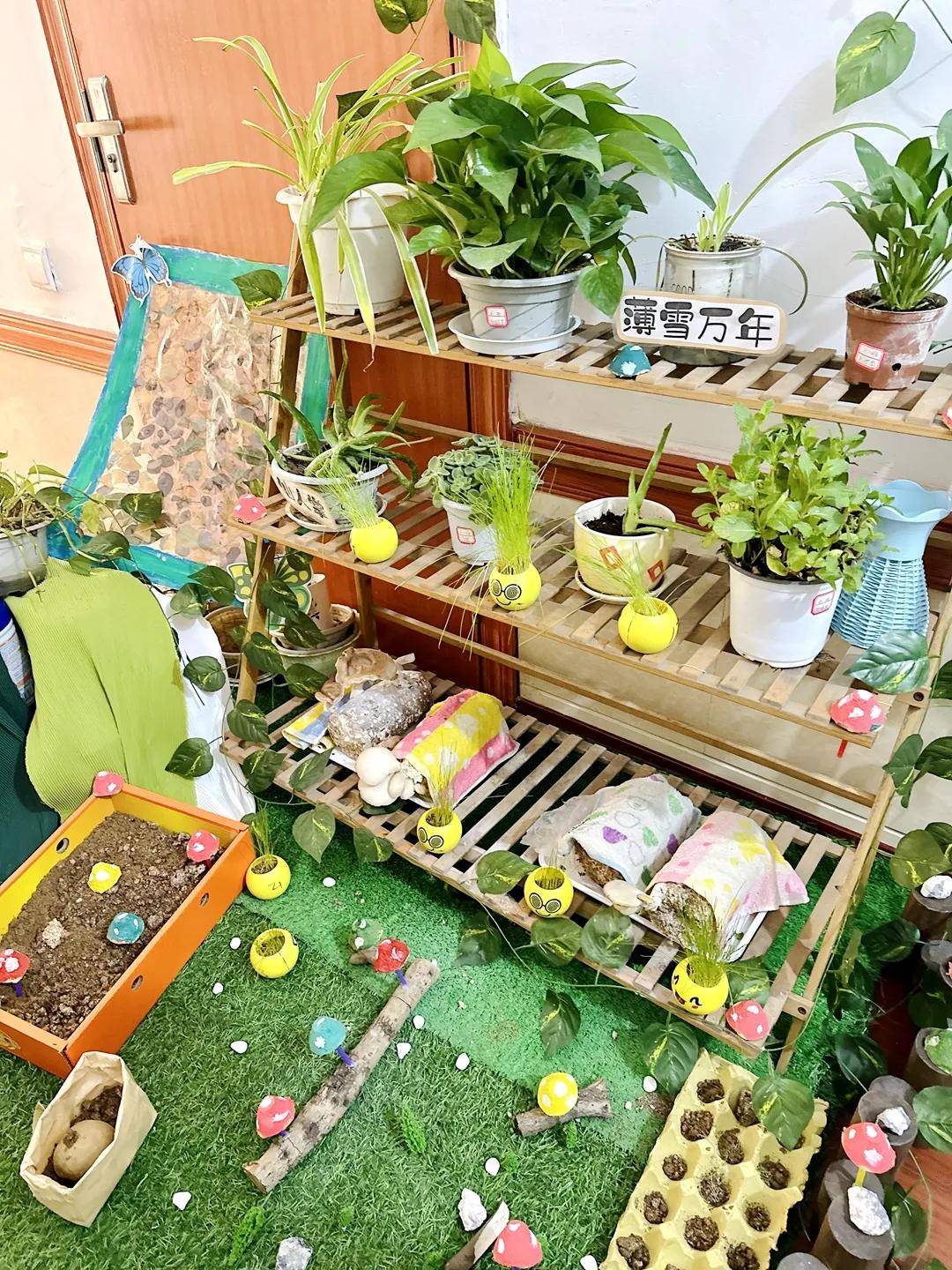 "环"绕童心 "境"遇美好丨园外园幼儿园环创评比活动