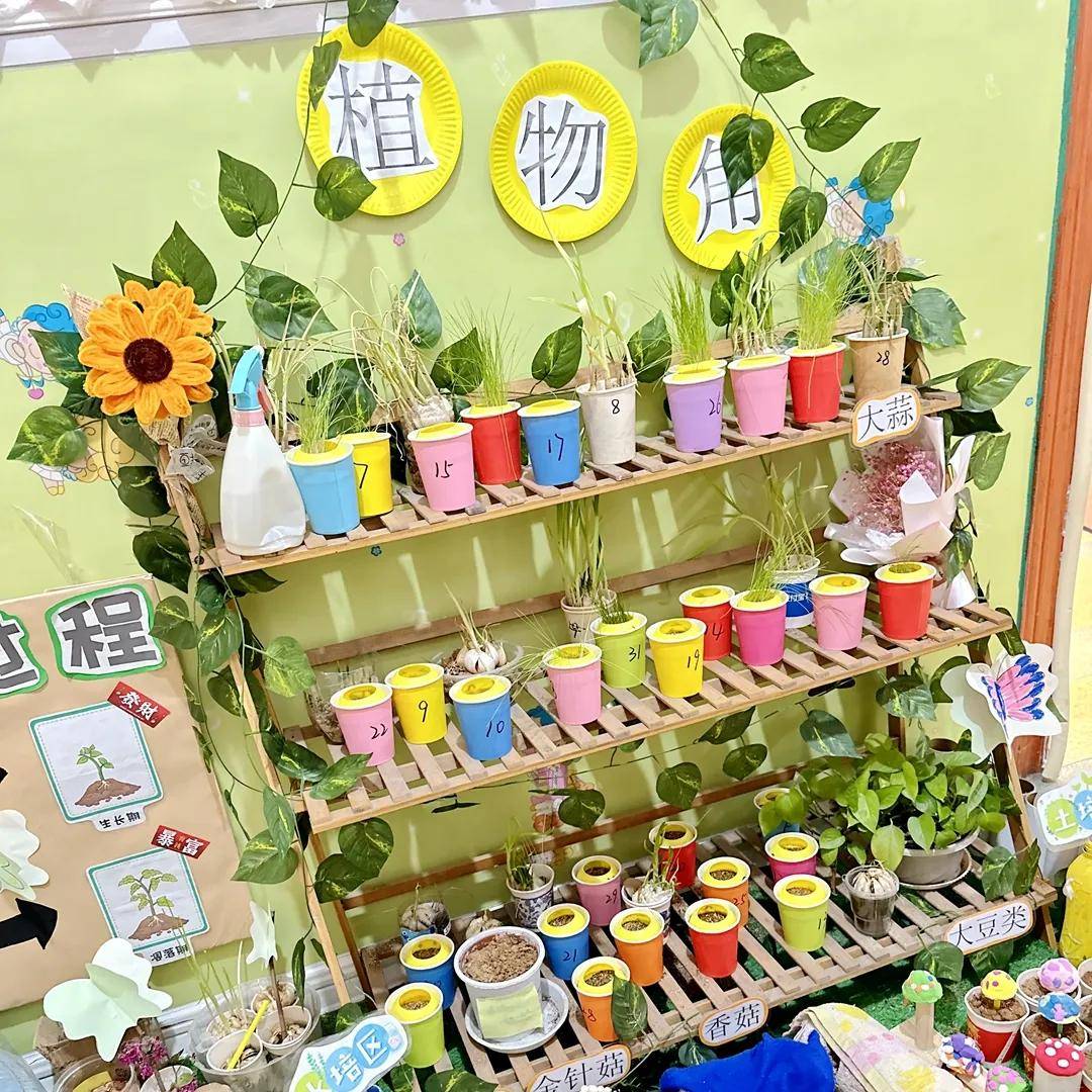 幼儿园的植物角,四季桌,主题墙是教育的缩影,是幼儿探索的一道窗口