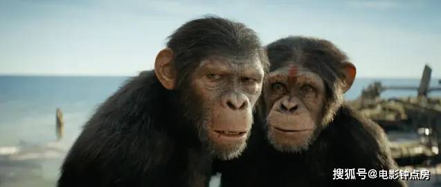 原创2024即将上映的5部超级大片异形垫底毒液第4前三名最值得期待