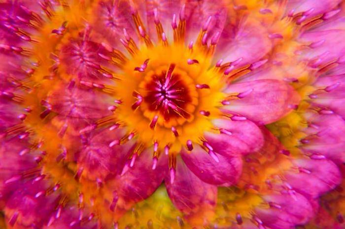 艺术创作瓶颈不妨来试试万花筒滤镜