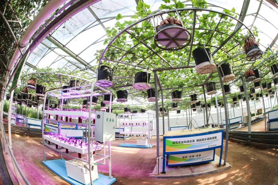 最新事关寿光菜博会