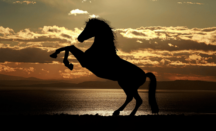 原创狂飙一骑绝尘